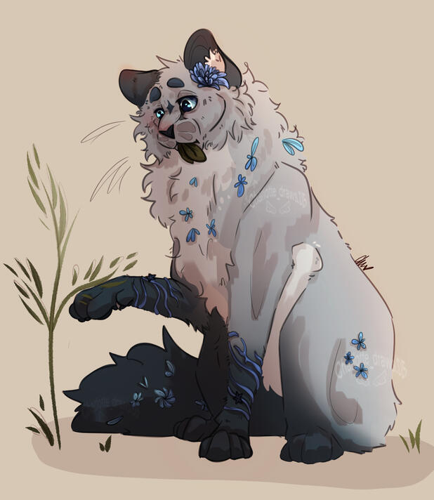 charlotte_draws.05